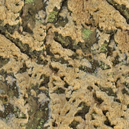 Northside 22 Camouflage