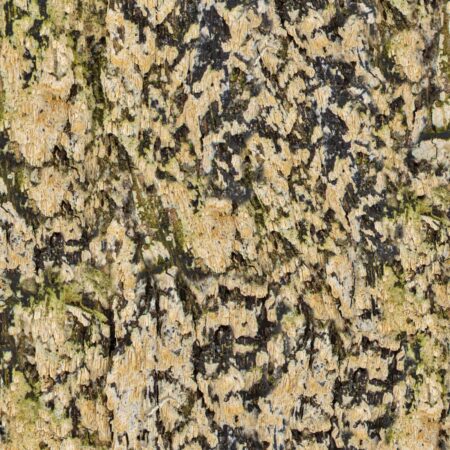 Northside 23 Camouflage