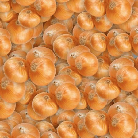 Onions 22