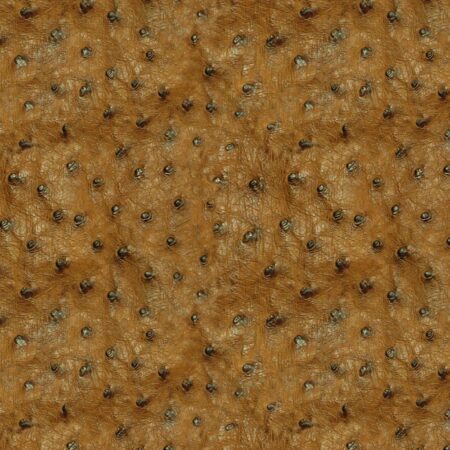 Ostrich Leather 2