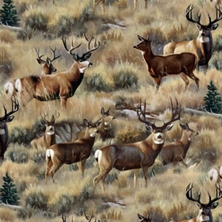 Outstanding Deer Painting