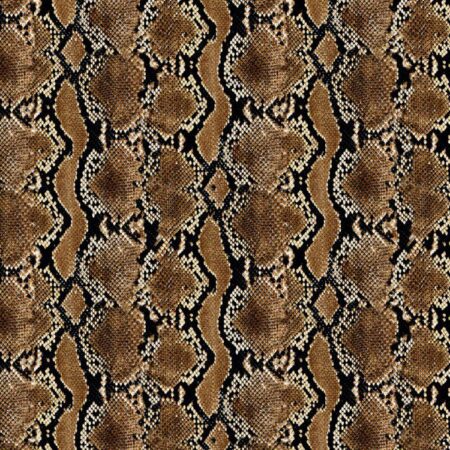 Pacific Python Snake Skin