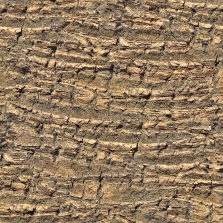Palm Tree Bark