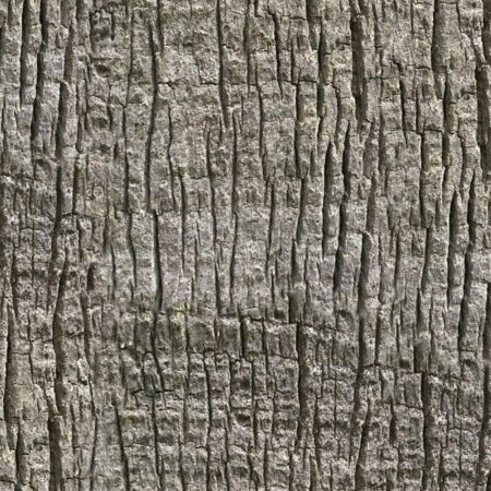Palm Tree Bark 3