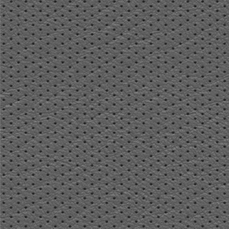 Perforated Leather 22