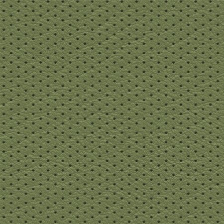 Perforated Leather 23