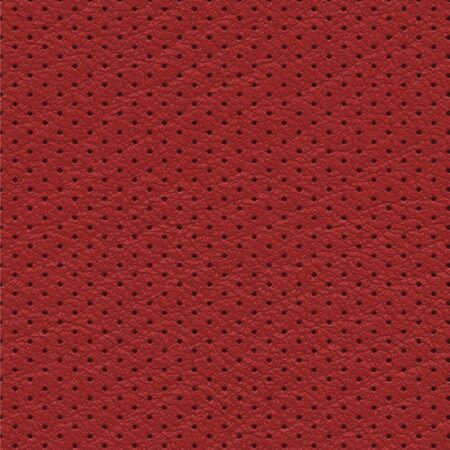 Perforated Leather 24