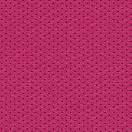 Perforated Leather 25