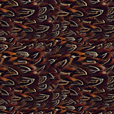 Pheasant Feathers 25