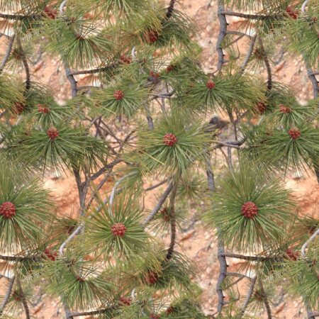 Pine Berry Camouflage