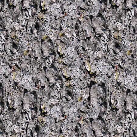 Pine Bark
