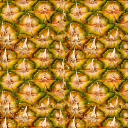 Pineapple Peel 24