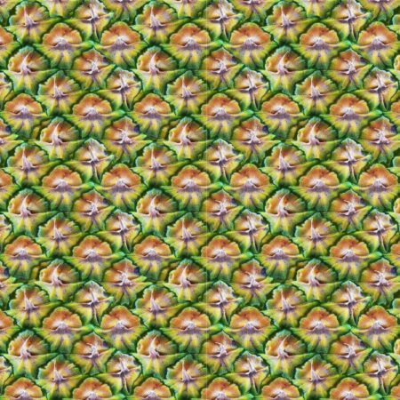 Pineapple Skin 22