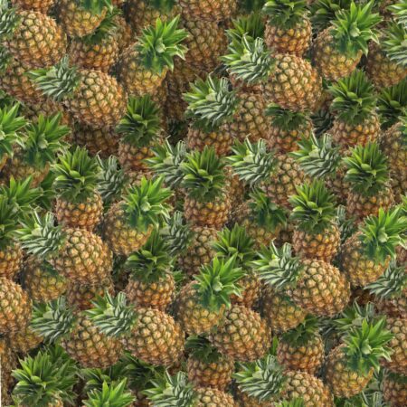 Pineapples 22