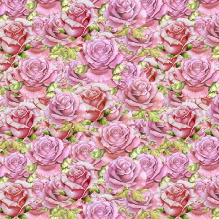 Pink Roses 23