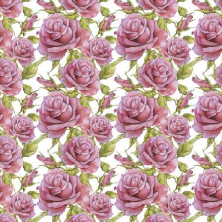 Pink Roses 25