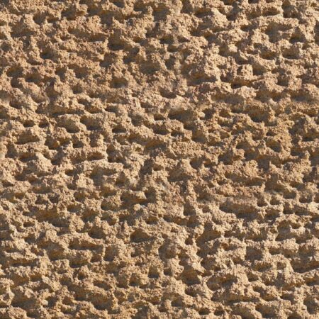 Pocked Sandstone