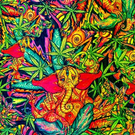 Psychedelic Kushna