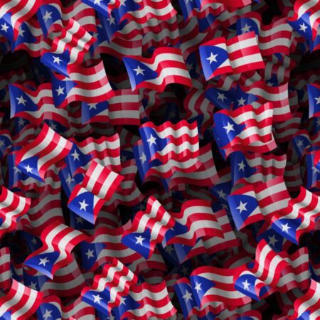 Puerto Rico Flag