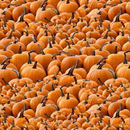 Pumpkins