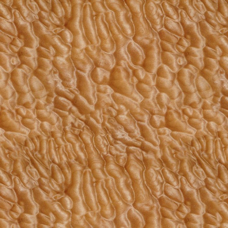 Quilted Maple Wood 22