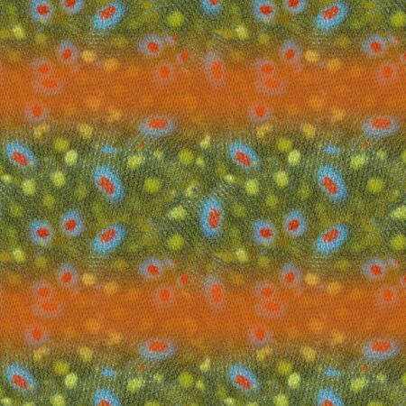 Rainbow Trout Scales 24