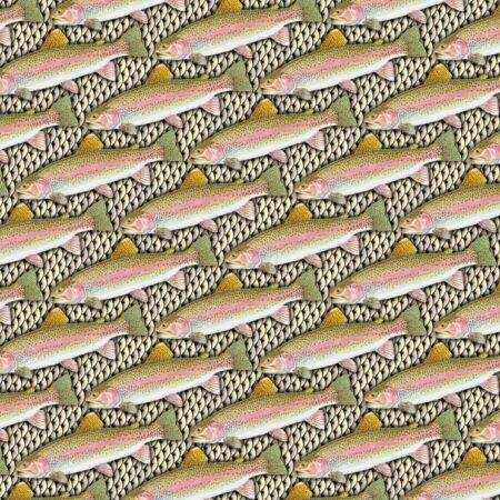 Rainbow Trout Scales 22