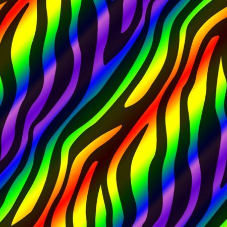 Rainbow Zebra 22