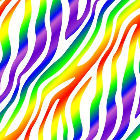 Rainbow Zebra 23