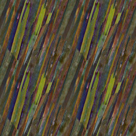 Rainbow Eucalyptus Bark