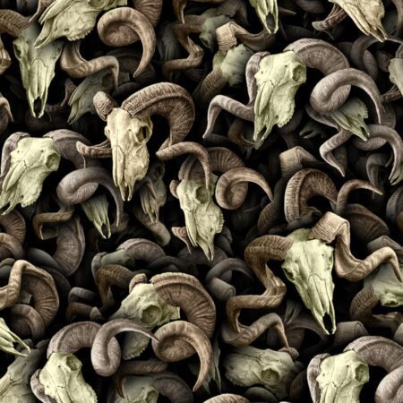 Ram Skulls