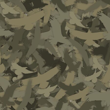 Raptor 22 Camouflage