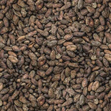 Raw Cacao Beans