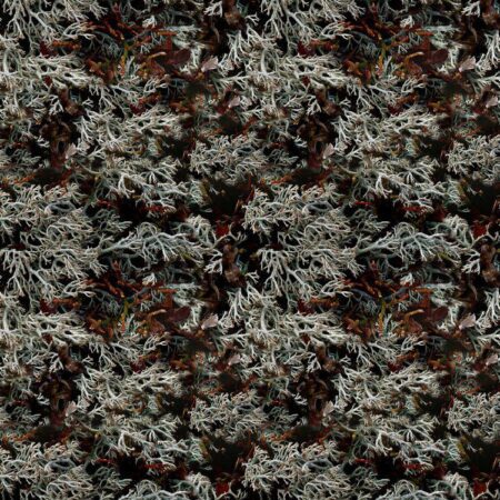 Reindeer Lichen Camo