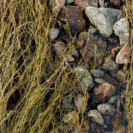 Rock and Grass Camouflage