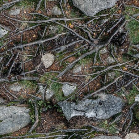 Rocky Ground Camouflage