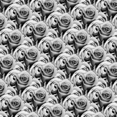 Roses Grayscale