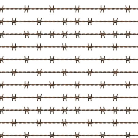 Rusty Barbed Wire 11