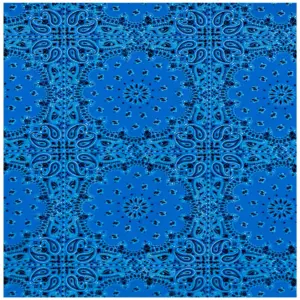 Blue Bandana