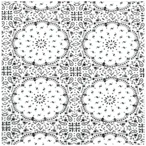 Black and Clear Bandana