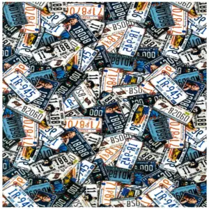 Rusty License Plates