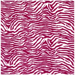 Pink Zebra