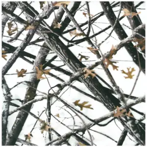 Snow Blizzard Camo
