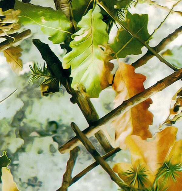 Vibrant Leaf Camo