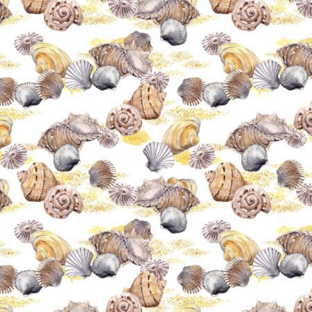 SeaShells and Sand