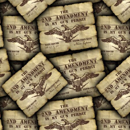 Second Amendment Gun Permit