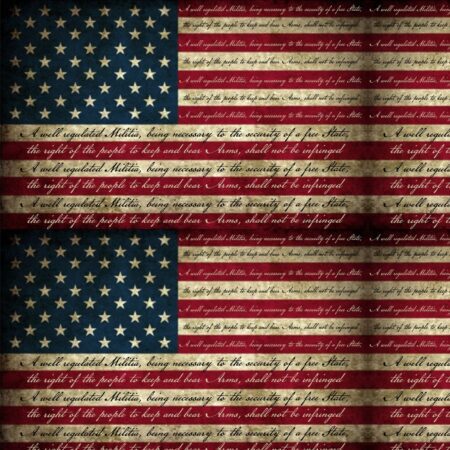 Second Amendment Flag 25