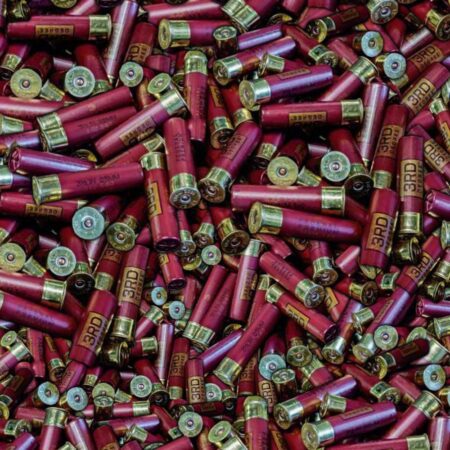 Shotgun Shells