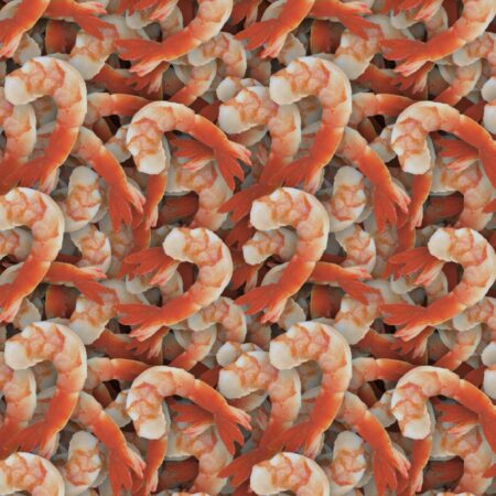 Shrimp 24