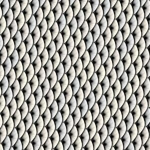 Silver Fish Scales 22
